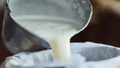 Şubat’ta süt ürünleri üretiminde düşüş... Ayran ve kefir üretimi yüzde 6,9 arttı