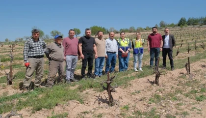 Zarar gören çiftçiye büyük destek