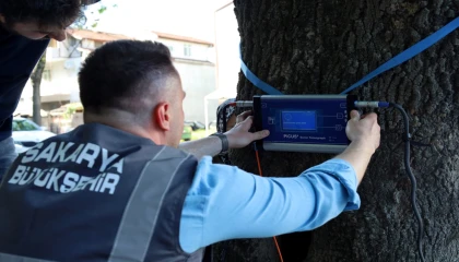 Sakarya’dan doğaya ‘şifa’ gibi adım... Yeşil cennetin tomografisi çekilecek