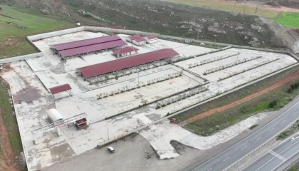 Sivas’ta kurban pazarı Kovalı’ya kuruluyor