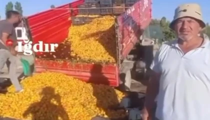 1 TL’lik kayısı paylaşımı 1,4 milyon TL cezaya patladı! Yanıltıcı paylaşıma milyon liralık ceza!