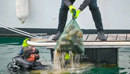 5 ton çöp toplandı, güneş enerjisi kullanımı arttı