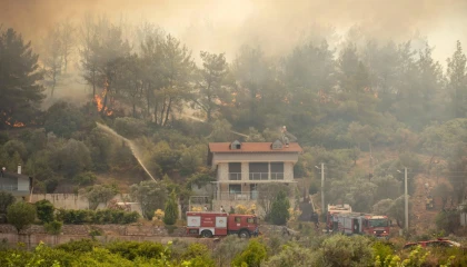 İzmir Büyükşehir’den yangınların bilançosu