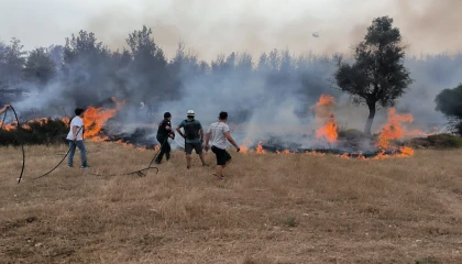 Muğla Büyükşehir ekipleri 6 Ayda 380 anız yangınına müdahale etti