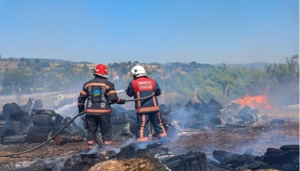 Sakarya Söğütlü’deki orman yangını kontrol altına alındı