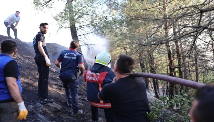 Sakarya’daki orman yangını kontrol altında: 3 gözaltı!