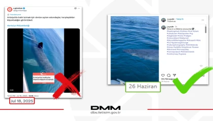Antalya’da köpekbalığı iddiası dezenformasyon çıktı... DMM: O video Norveç’ten!