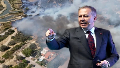 Bakan Yerlikaya: Yangınzedelere 21,6 milyon TL destek... Orman Yangınlarında 184 konut hasar gördü