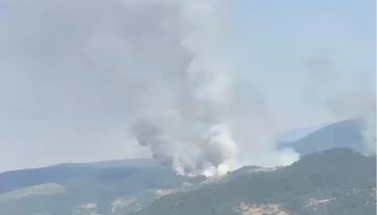 Balıkesir Sındırgı’da orman dışı alanda yangın!