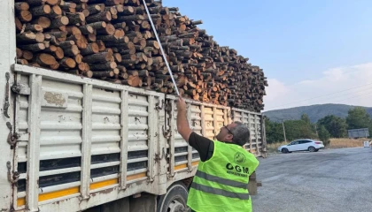 Bilecik Pazaryeri’nde orman emvali denetimi