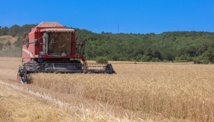 Bilecik’te 75 bin ton buğday üretildi