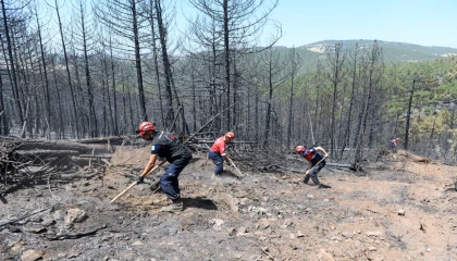 Bursa’da orman yangınlarına OSAD’dan koordineli müdahale