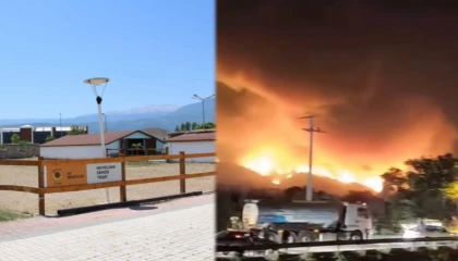 Bursa’da yangından etkilenen hayvanlara el açtılar