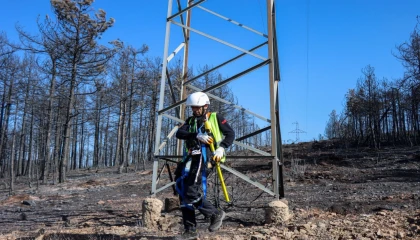 Bursa’daki yangın bölgesinde enerji hatları onarılıyor