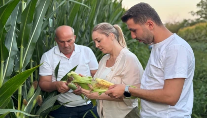 CHP Edirne İl Başkanı Taybıllı’dan çiftçi krizi uyarısı