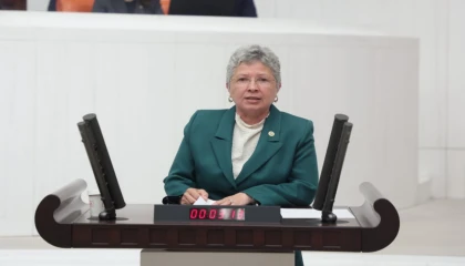 CHP’li Yontar: Zeytini kömüre feda etmek geleceğe ihanettir!