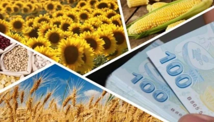 Çiftçilere 1,7 milyar TL’lik destek ödemesi hesaplarda