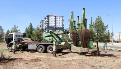 Diyarbakır’dan ağaçlara saygı duruşu