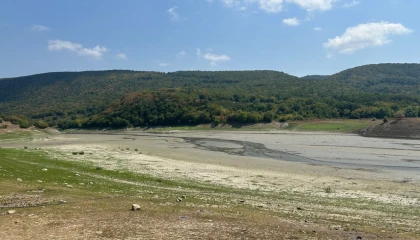 Düzce Hasanlar Barajı’nda su seviyesi kritik!