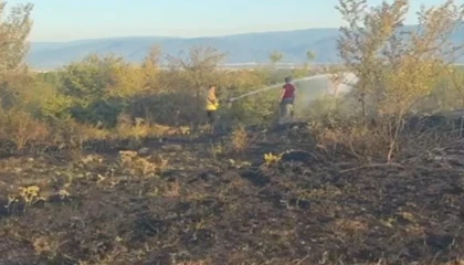 Düzce Konuralp’te örtü yangını kontrol altında