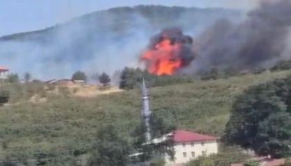 Düzce-Sakarya sınırında orman yangını