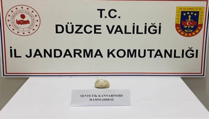 Düzce’de 3 milyon TL’lik uyuşturucu operasyonu