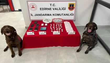 Edirne Keşan Jandarması’ndan uyuşturucu operasyonu