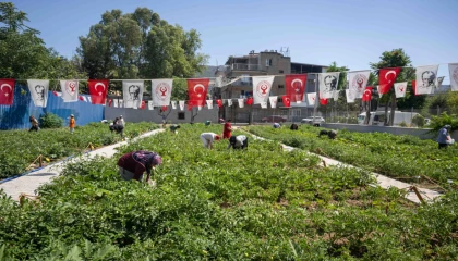 Gıda güvenliği mesajı Bornova’dan verildi