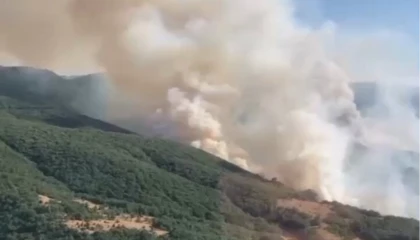 İzmir Bergama’daki yangın kontrol altında... Bilecik ve Sakarya’da müdahale sürüyor