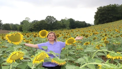 İzmit ayçiçek tarlalarından yağ üretecek
