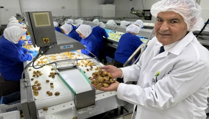 Kuru meyve sektöründe 12 şampiyonun 11’i Egeli