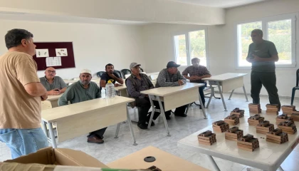 Manisa Büyükşehir’den üreticilere ana arı desteği