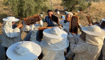 Manisa’da arıcılara uygulamalı eğitim desteği