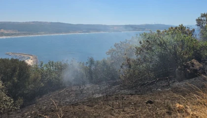 Mudanya kırsalında yangın! Buğday tarlası son anda kurtarıldı
