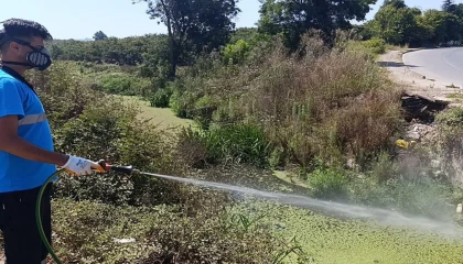 Sakarya’da dere yatakları, kanallar, bataklıklar ve göletlere tek tek ulaşıyorlar