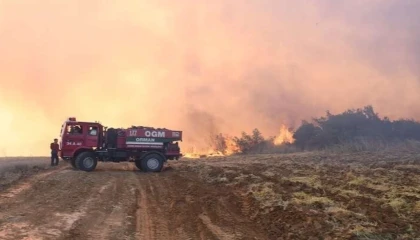 Son 1 haftada 624 orman yangını