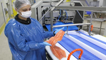 Türk somonu ihracatı rekor kırıyor... 2035 hedefi 1 milyar dolar