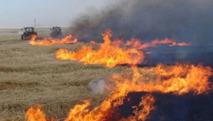 TZOB’dan yangın ve anız uyarısı!