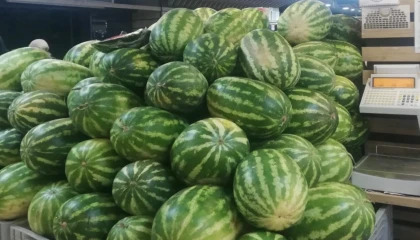 Üretici-Market fiyat farkı rekor kırdı! Karpuzda fark yüzde 600!