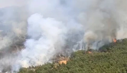 Uşak ve İzmir Bergama’da yangınlara müdahale sürüyor