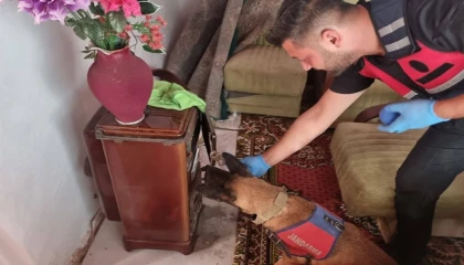 Bilecik Pazaryeri’nde uyuşturucu operasyonu