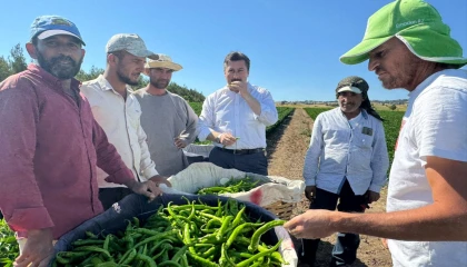Bursa Yenişehir’de tarla işçilerine ’Özel’ ziyaret