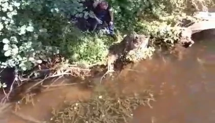 Çatalca’da mahsur kaplumbağa itfaiye tarafından kurtarıldı