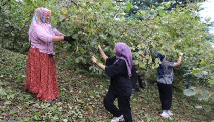 ‘Fındık Dalda Aklın İşçide Kalmasın’ projesi 6. yılında