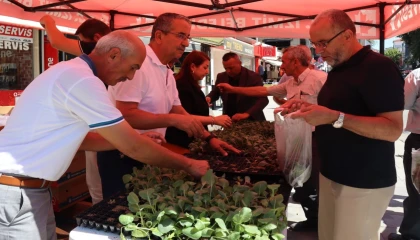 İzmit’ten vatandaşlara fide hediyesi