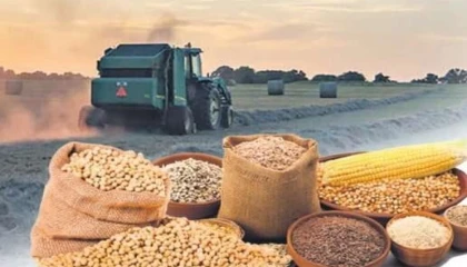 Tarımsal ürün fiyatları ve endekslerde yükseliş