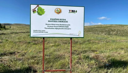 TEMA gönüllüsü Sezen Aksu, Pakize Suda adını hatıra ormanı ile yaşatacak