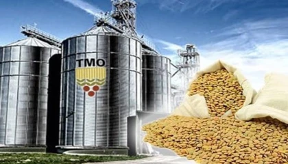 TMO’nun ithalat ihalelerine yeni düzenleme