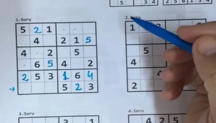 Unutkanlığa karşı bulmaca yerine sudoku çözün!