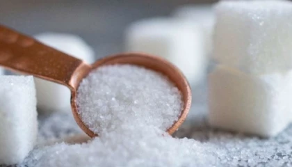 Yeni dönem şeker kotaları ’Resmi’leşti